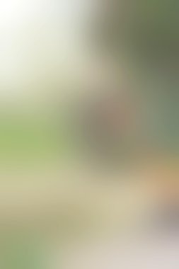 bulanık renkli arka plan doku