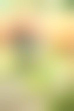 bulanık renkli arka plan doku