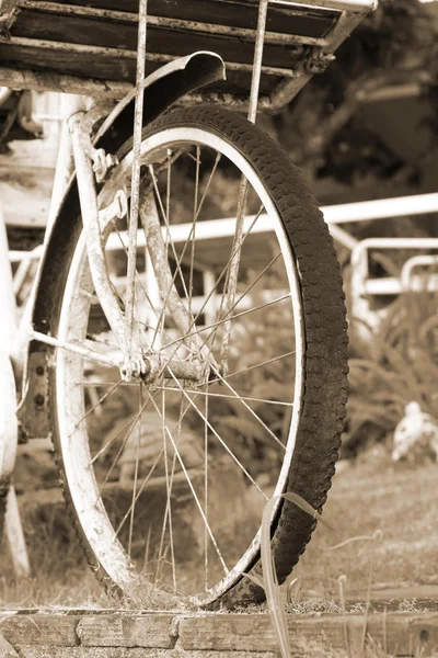Neumáticos de bicicleta Vintage —  Fotos de Stock