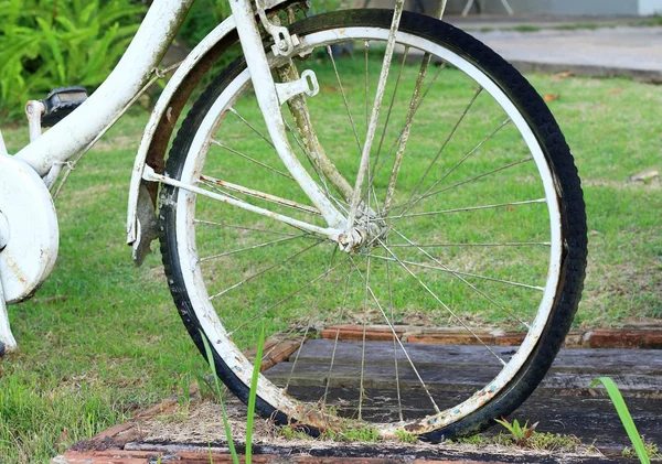 ビンテージ自転車のタイヤ — ストック写真