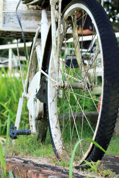 老式自行车轮胎 — 图库照片