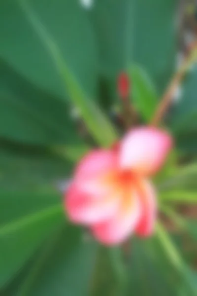 Textura de fundo colorido borrado — Fotografia de Stock