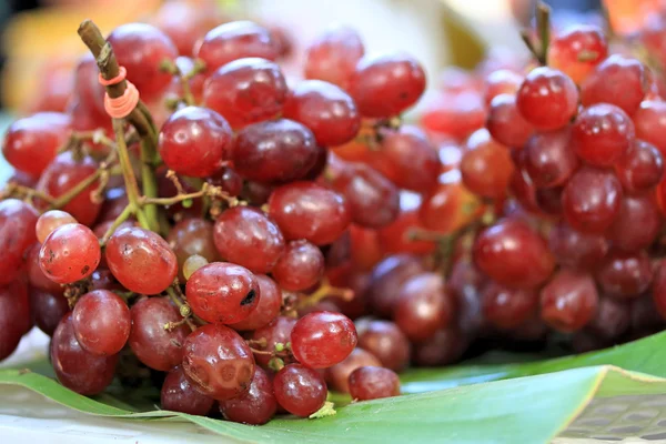 Taze üzüm — Stok fotoğraf