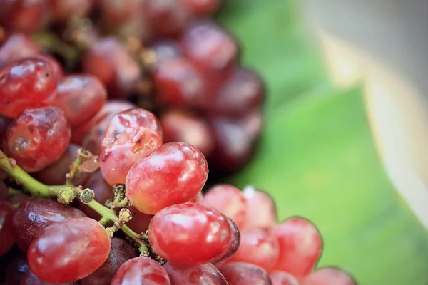 Uvas frescas — Foto de Stock