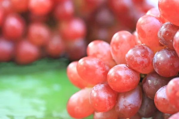 Frische Trauben — Stockfoto