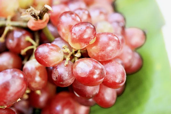 Uvas frescas — Foto de Stock