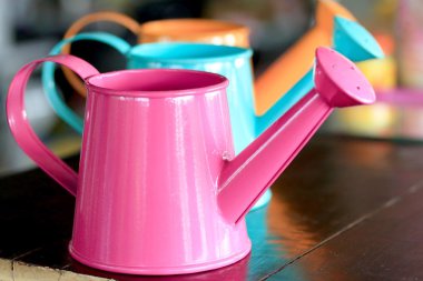 Ağaç dikimi için renkli ibriğindibine ayarla.