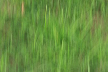 Bulanık ışık izleri arka plan