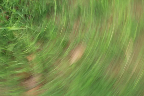 Blurred light trails background — Stock Photo, Image