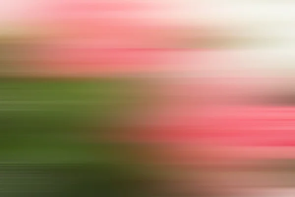 Красиві рожеві штучні квіти — стокове фото