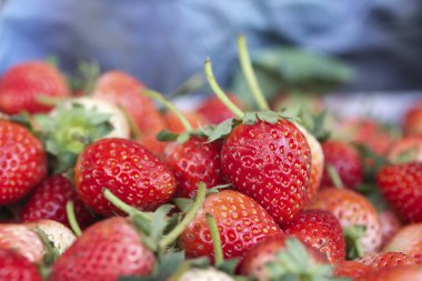 bir sürü taze çilek