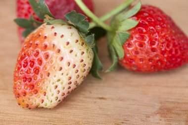 bir sürü taze çilek