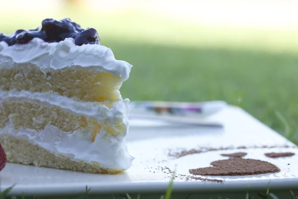 Tarta de arándanos — Foto de Stock