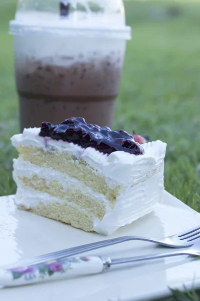 Blueberry Cake — Stock Photo, Image