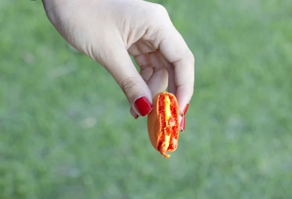 Macaron en la mano las mujeres . —  Fotos de Stock