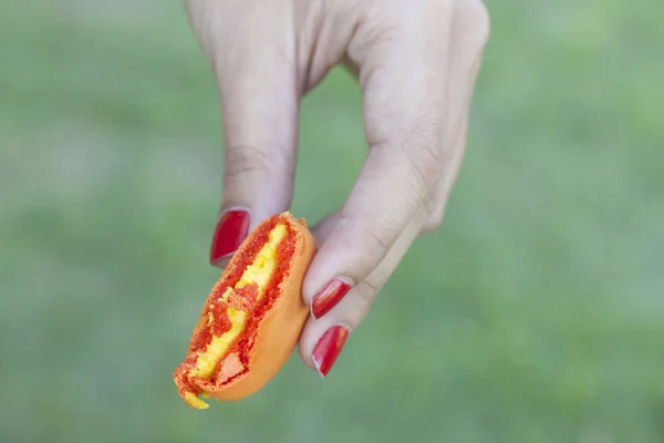 Macaron en la mano las mujeres . —  Fotos de Stock