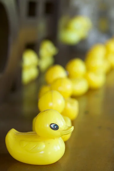 Sarı plastik ördek — Stok fotoğraf