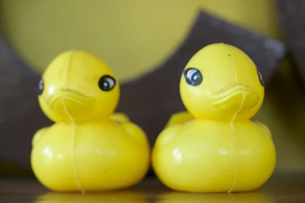 Pato de borracha amarelo — Fotografia de Stock