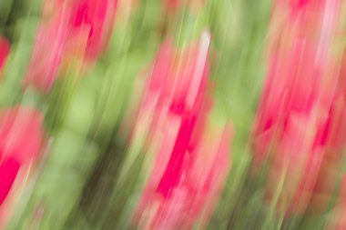 Bulanık ışık izleri arka plan