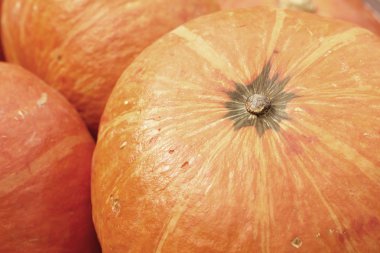 bulanık renkli arka plan doku