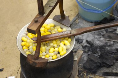 Koza ipekböceği yapımı