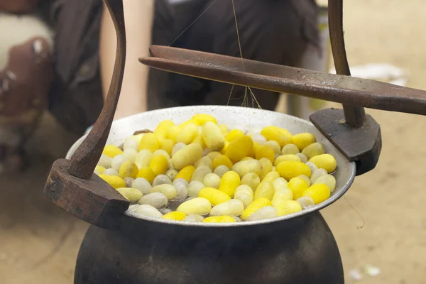 Fabricación del gusano de seda del capullo —  Fotos de Stock