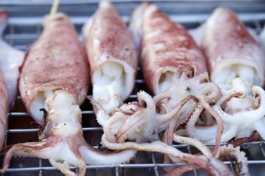 Fresh squid