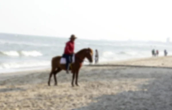 Heste oven på den strand - Stock-foto