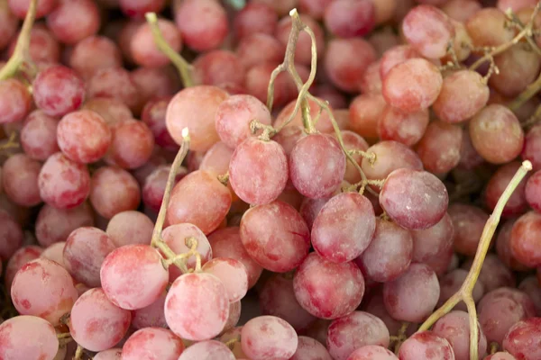 Uvas frescas — Foto de Stock