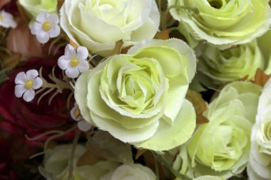 Gül yapay çiçek güzel bulanık