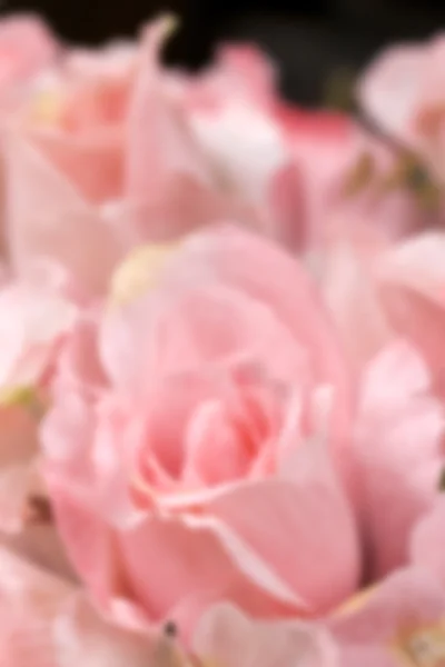 Beautiful of rose artificial flowers — Stock Photo, Image