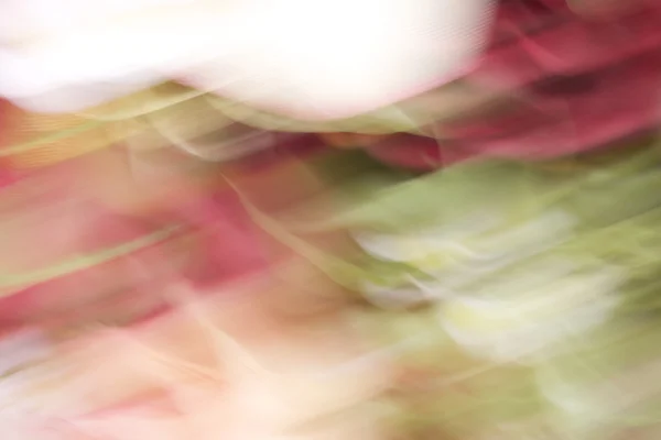 흐리게 장미 인공 꽃의 아름 다운 — 스톡 사진