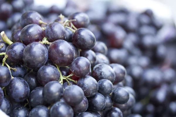 Raisins frais sur le marché — Photo