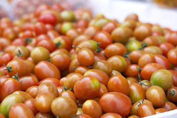 Viele frische Tomaten — Stockfoto