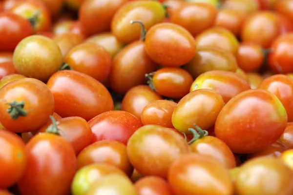 Viele frische Tomaten — Stockfoto