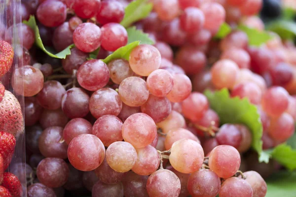 Uvas frescas en el mercado — Foto de Stock