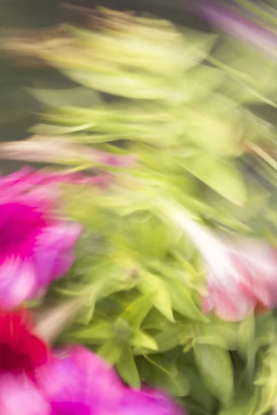 Suddig blommor lätta stigar bakgrund — Stockfoto