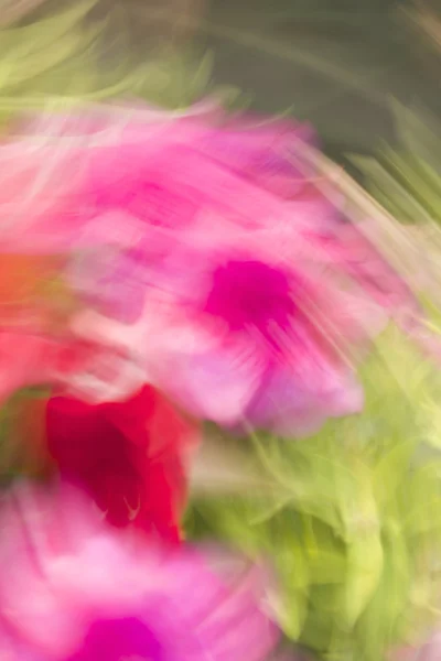 Bulanık çiçek ışık yollar arka plan — Stok fotoğraf