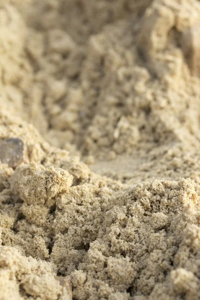 Topraktaki tekerlek izleri.