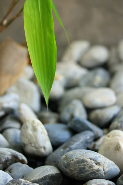 Textura de fundo pedra — Fotografia de Stock