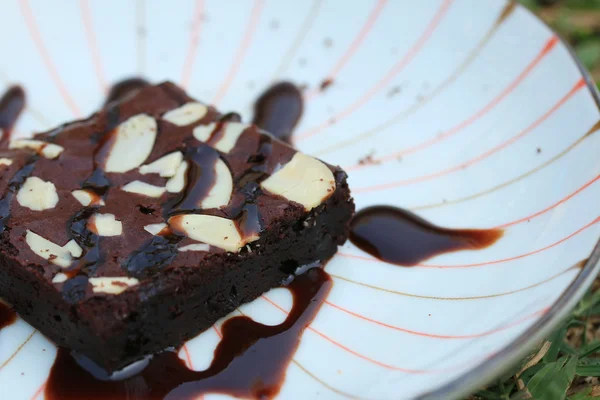 Brownie-Kuchen — Stockfoto