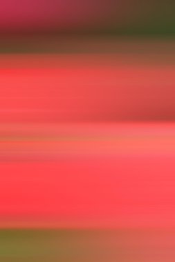 bulanık çiçek ışık yollar arka plan