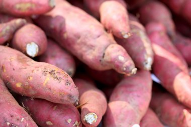 Pazarda taze tatlı patates.