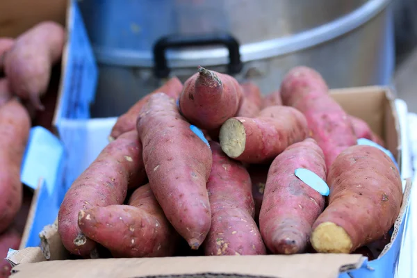 Verse garnaal op de markt — Stockfoto