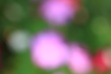 bulanık çiçek ışık yollar arka plan