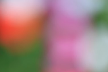 bulanık çiçek ışık yollar arka plan