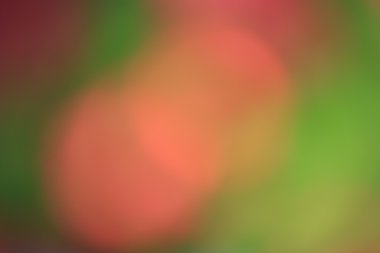 bulanık çiçek ışık yollar arka plan