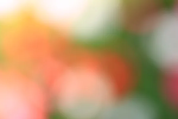 Verschwommene Blumen Licht Spuren Hintergrund — Stockfoto
