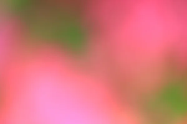 Blurred flowers light trails background — Stock Photo, Image