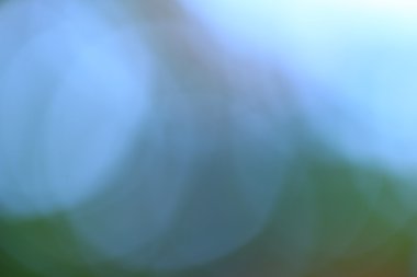 bulanık çiçek arka plan